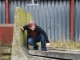 PlayerPhotoPerhaps.jpg