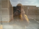 Reflection.jpg