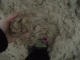 Sandy.jpg