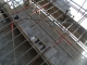 Scaffold.jpg