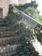 Overspilling onto the stairs