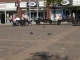Marketplace