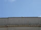 Rooftop