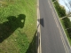 The shadows is us.jpg