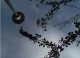 TreeSky.jpg