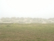 Dunes