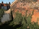 Climbing the wall