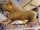 Selfridges