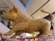 More bull