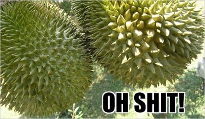 durian2.jpg