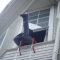 Pants got caught on the sill! Pants got caught on the sill!