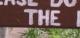 the
