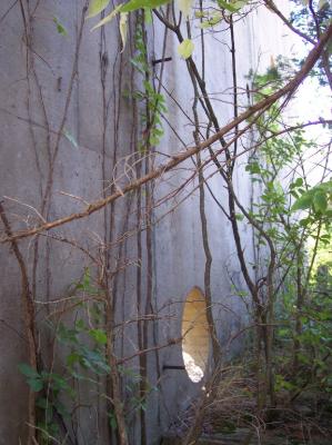 101_2338.JPG 101_2338.JPG