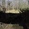 IMGP0654.JPG