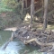IMGP0656.JPG