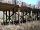 IMGP0649.JPG