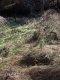 IMGP0650.JPG