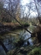 IMGP0651.JPG