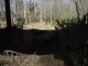 IMGP0654.JPG