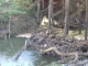 IMGP0656.JPG