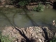 IMGP0659.JPG