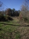 IMGP0661.JPG