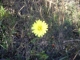 IMGP0664.JPG