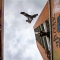 Basic Parkour by gato fetz Basic Parkour by gato fetz