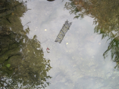 An earlier attempt to tag fish An earlier attempt to tag fish