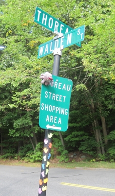 Walden & Thoreau