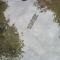 An earlier attempt to tag fish
