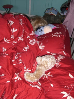 01 - 0800.jpg 01 - 0800.jpg