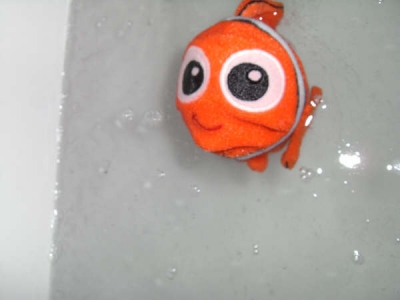 CIMG4268.JPG CIMG4268.JPG