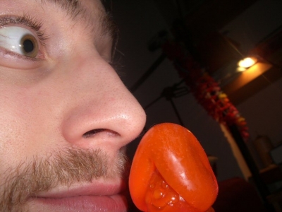 CIMG5490.JPG CIMG5490.JPG