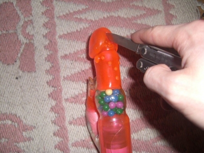 CIMG5502.JPG CIMG5502.JPG