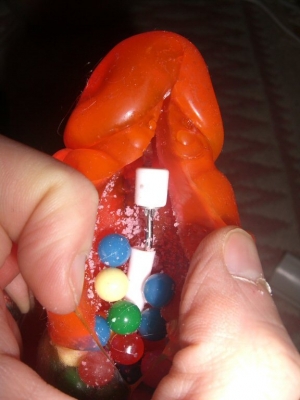 CIMG5504.JPG CIMG5504.JPG