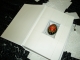 my egg