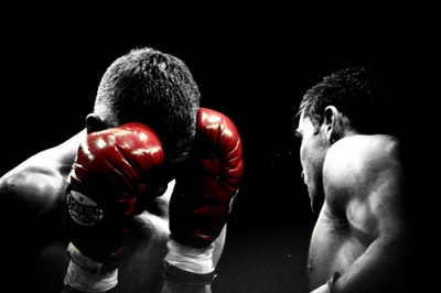 Boxer