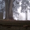100_1810.JPG