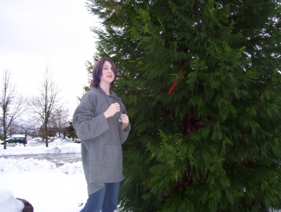 Pipe cleaners love trees