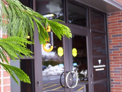 Orange clip decorates this tree quite well.