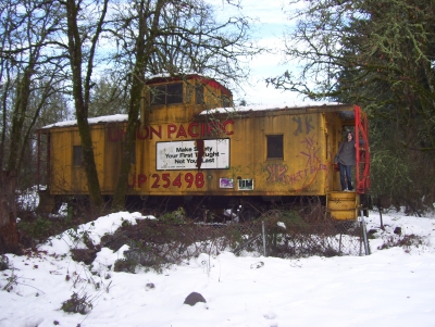 The train