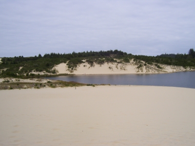 Oregon dunes