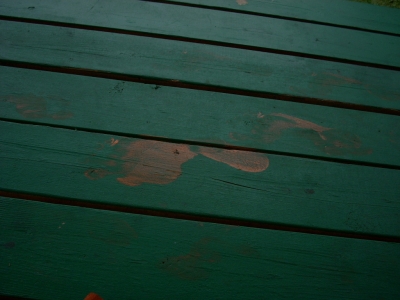 Justin's footprint