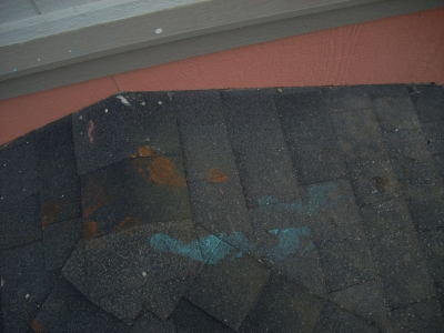 roof prints