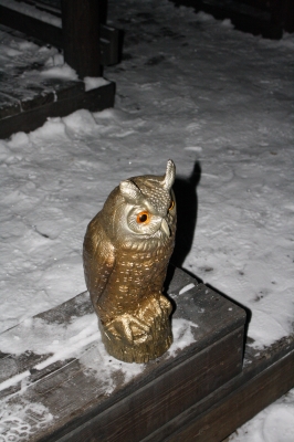 IMG_0806.JPG