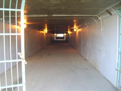 the tunnel