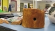the stump