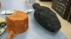 bird and stump