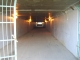 the tunnel